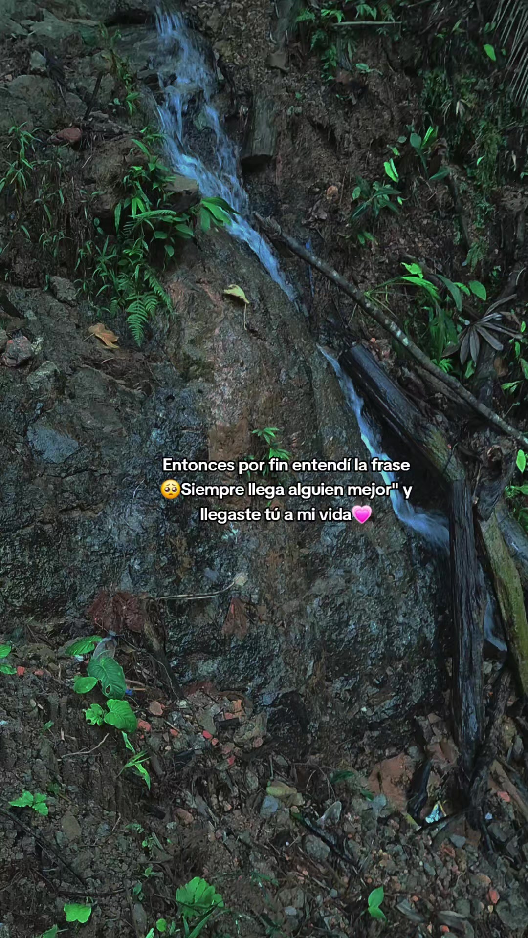 @gemelo Lopez 🥰