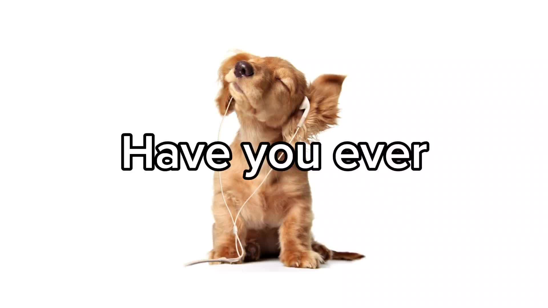 @𝐵𝑒𝑙𝑙𝑠🐾