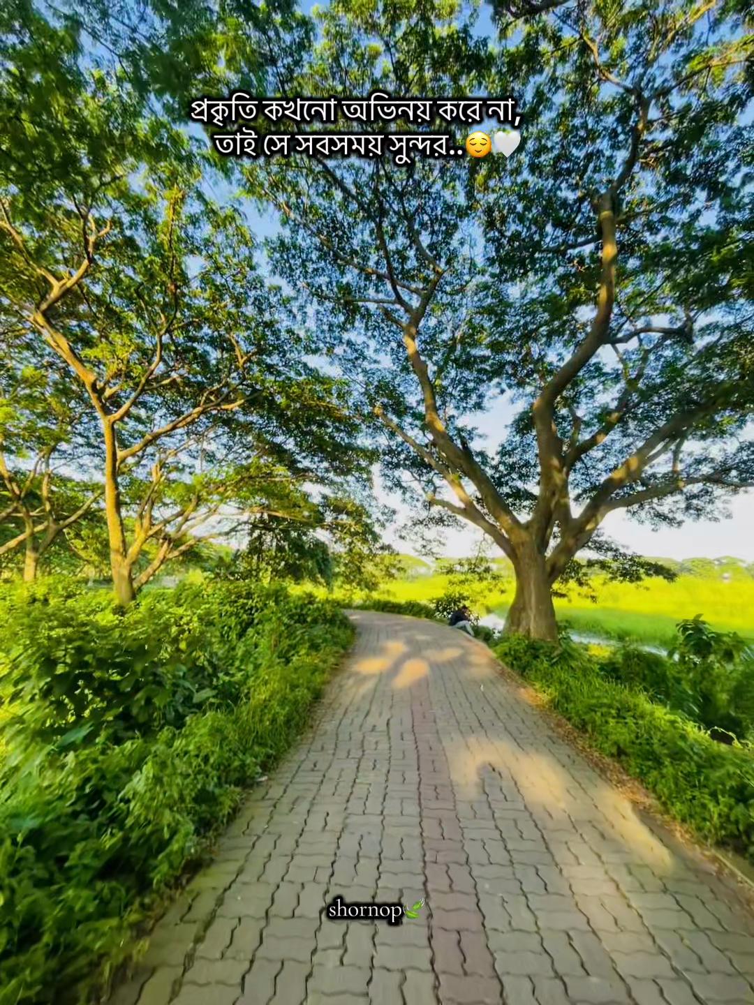 @🕊️♡Տԩόɹ𝖓ό𝒑🌱🧢