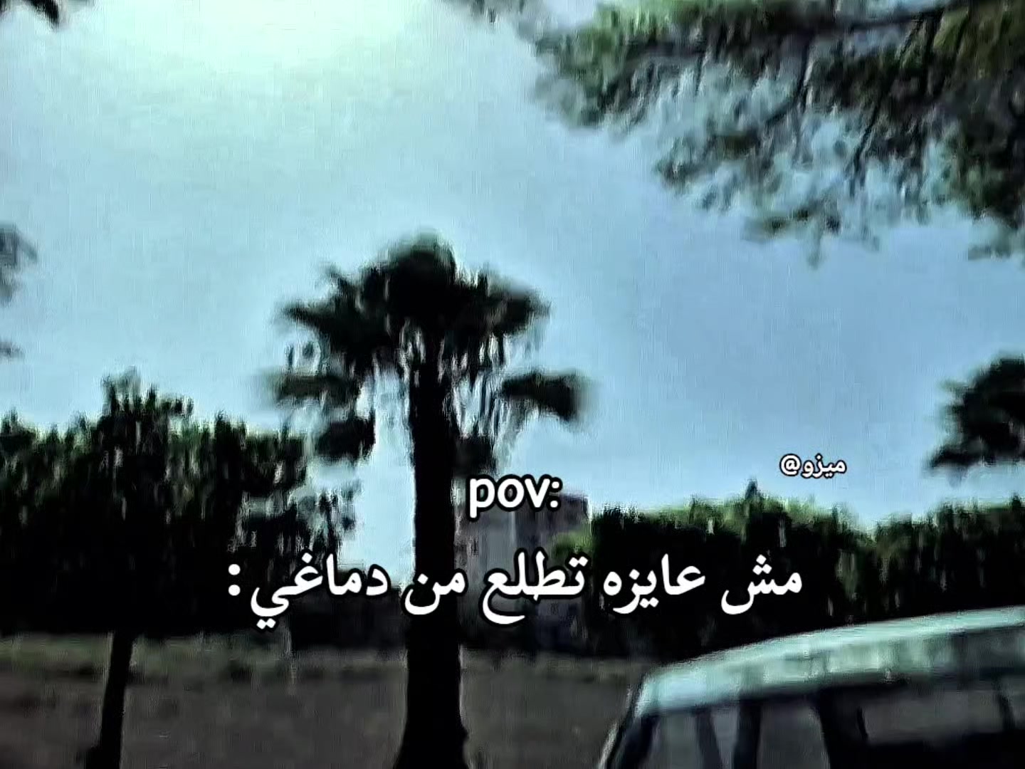@عايز تغيظه هاتله (ميزو)