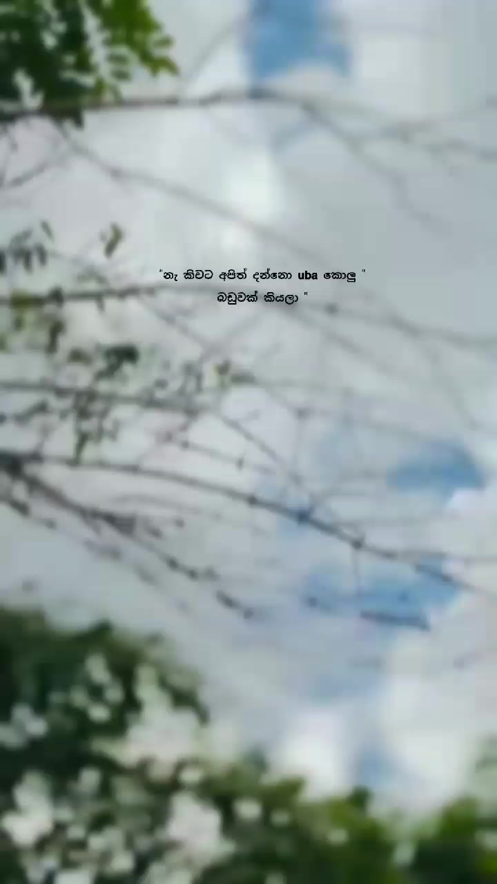 @โฏ๐ฐ ๐ฟ ๐พ ๐พ ๐ ๐ ๐ฐเทดใ