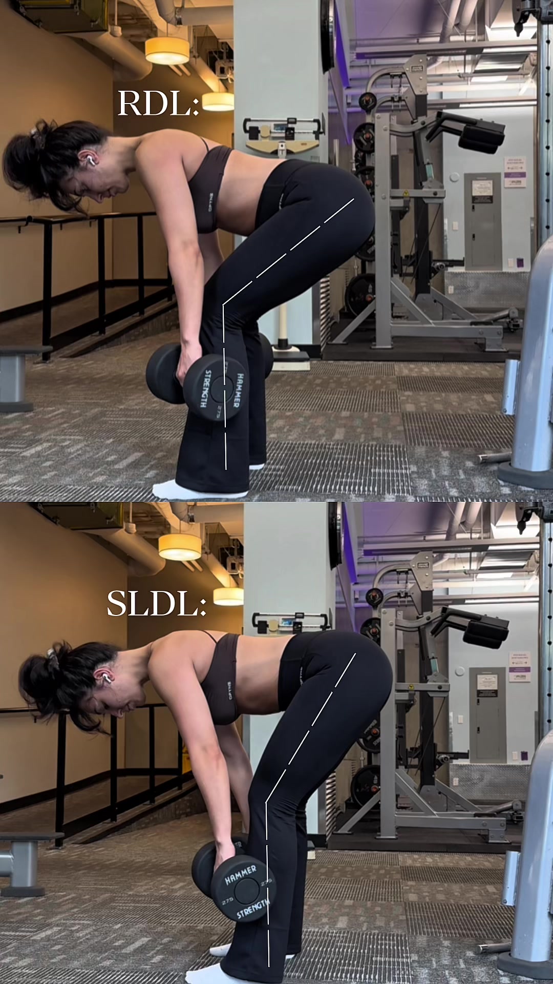 @Tina - Female Fitness Coach