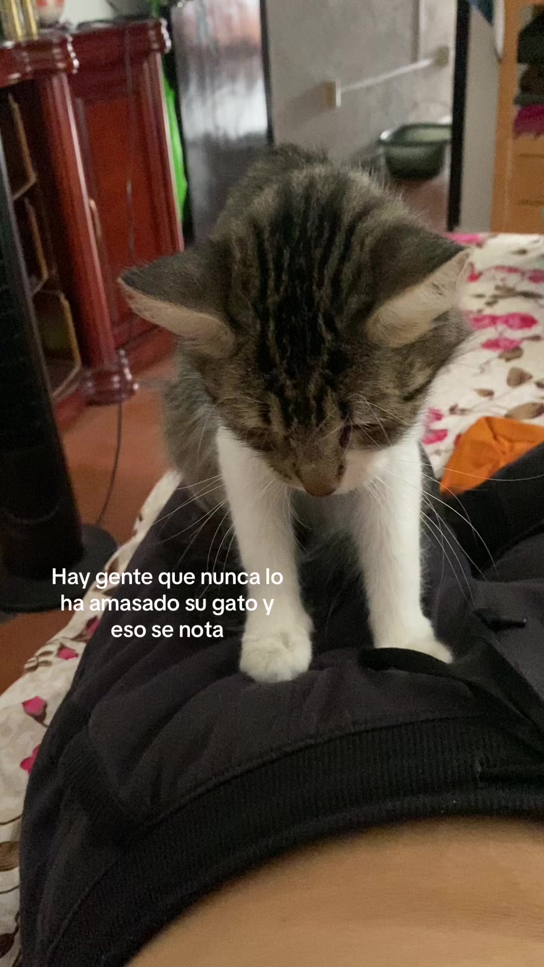 @La Duje