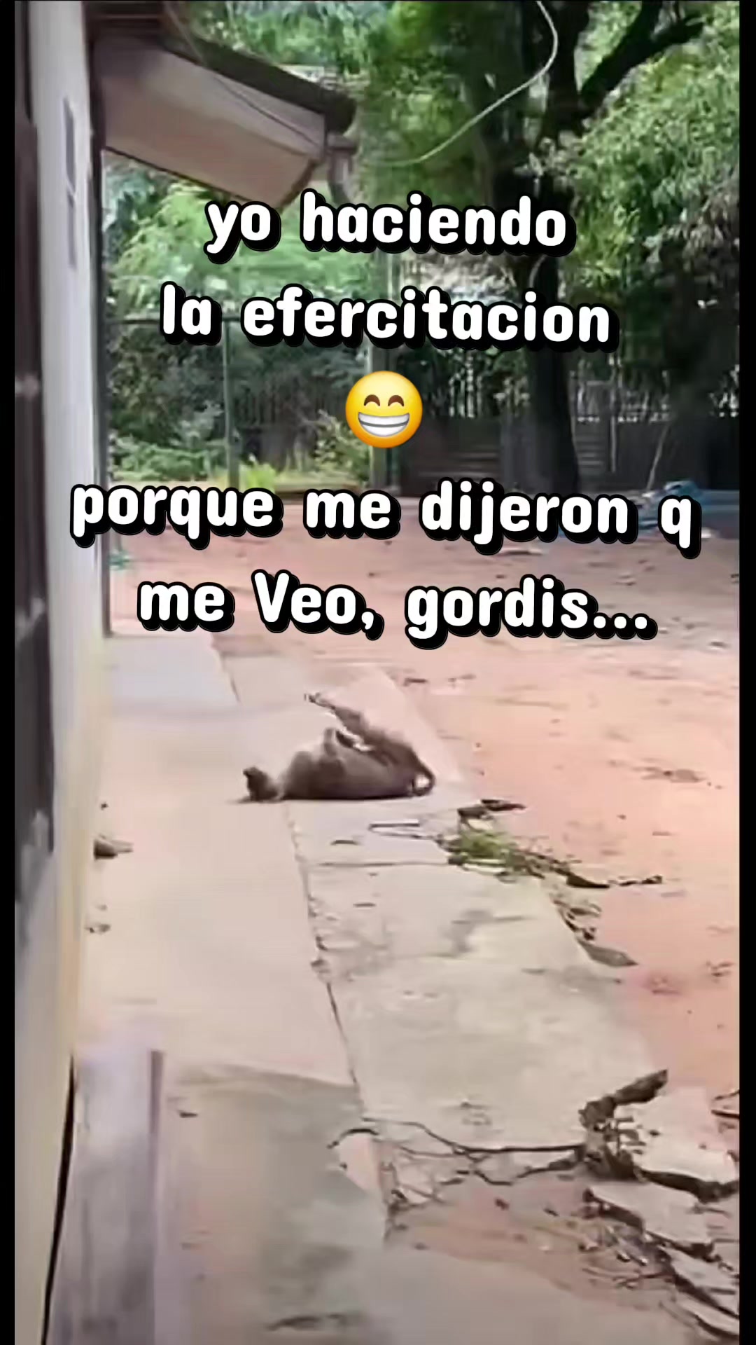 @☆//MOISITO\☆○ficial*GT🇬🇹%