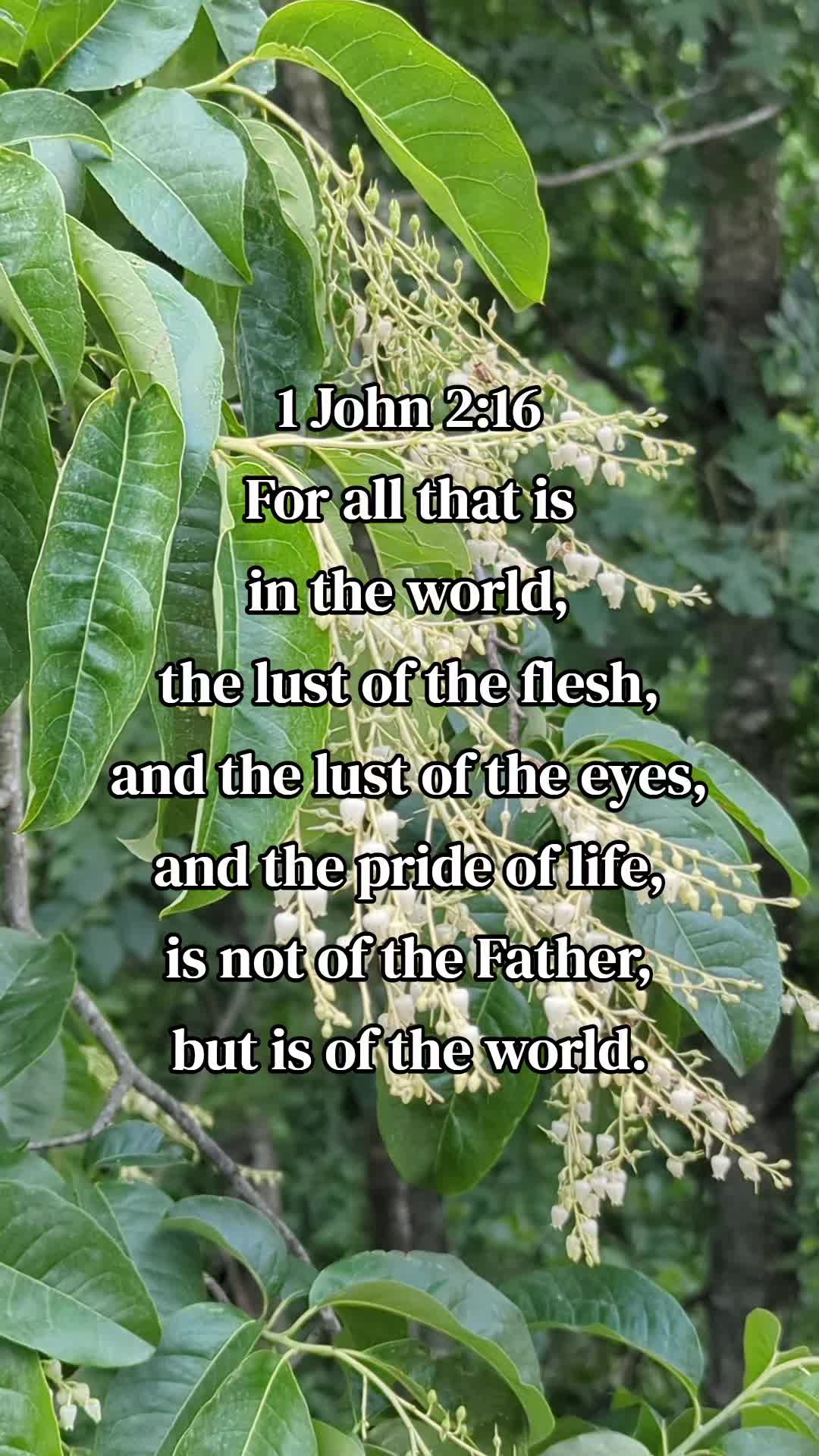 @PeaceBeStill