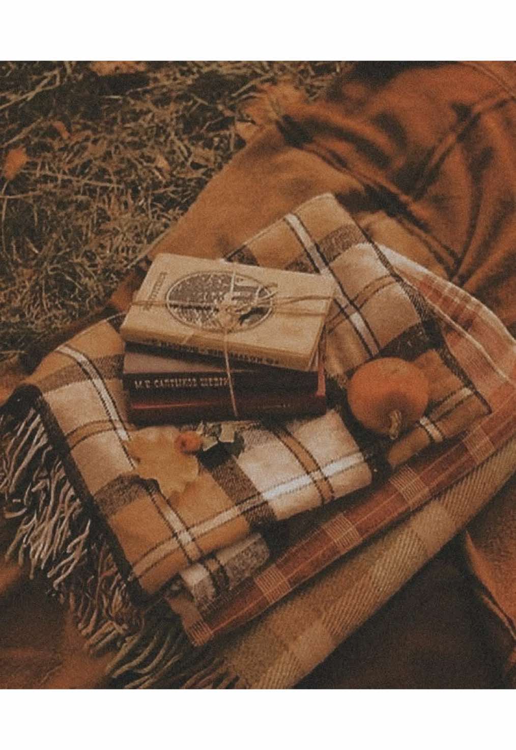 @໒𓏼ིྀ ̮͡🍁𝐌𝕚𝗿𝕒𝗰𝕝ᧉ ♡⃘ֺׅ⑅