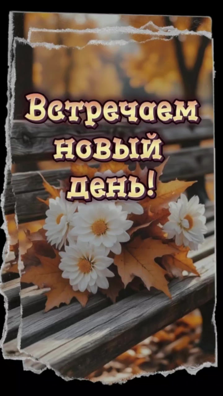 @Светлана