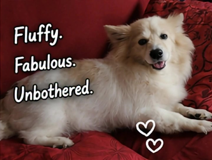 @💕𝓙𝓪𝓷𝓲𝓬𝓮💕