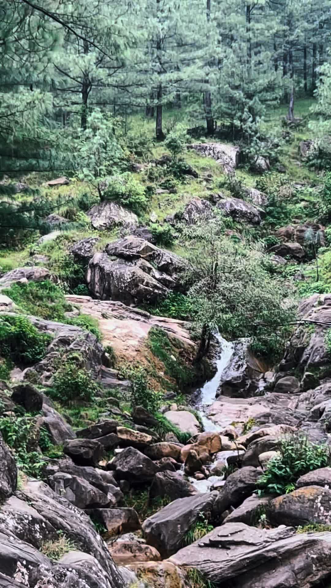 @📿ملک جواد آفریدی 🧿