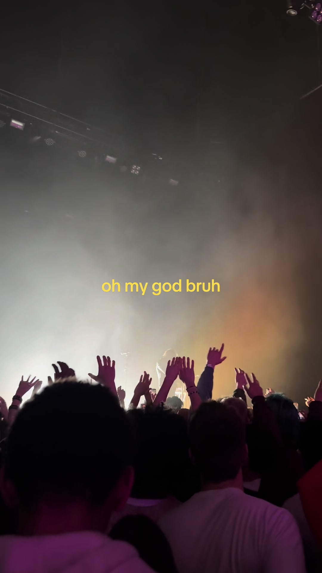 @guppy