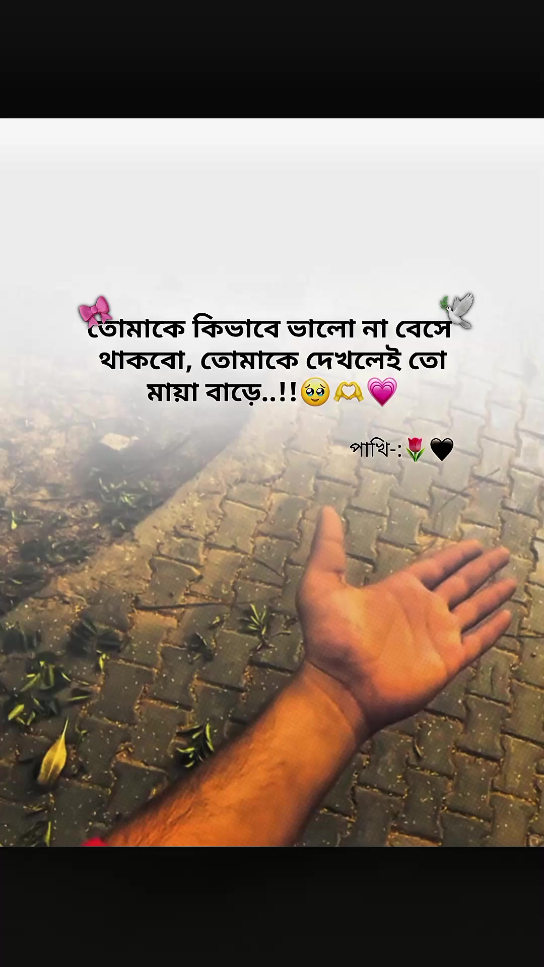 @๐ ๐๐๐ข๐ ๐ด๐๐๐ โ๐ง