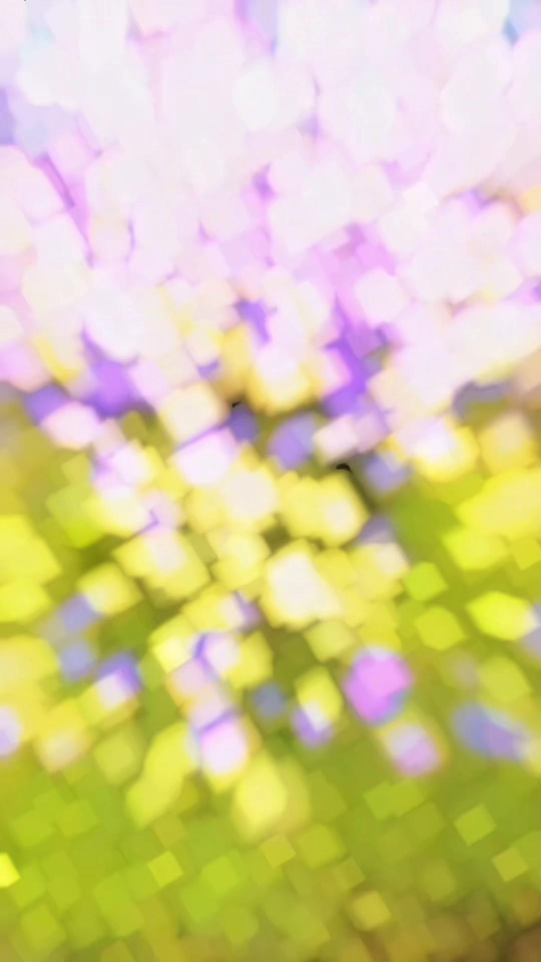 @IGNASHOUS