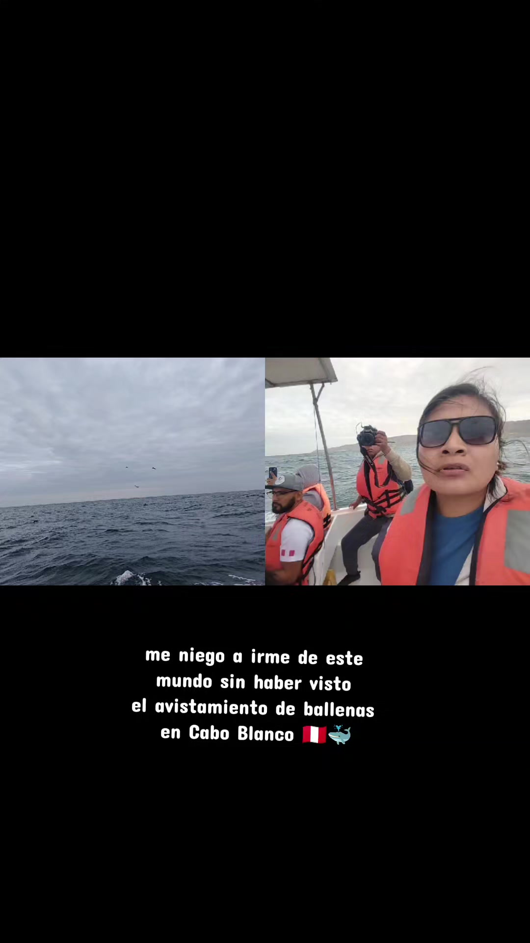 @Fátima pingo