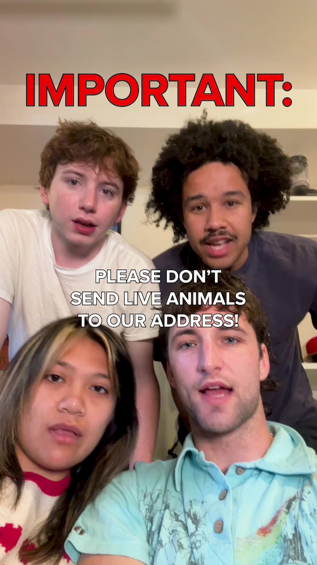 @Bunch of Friends