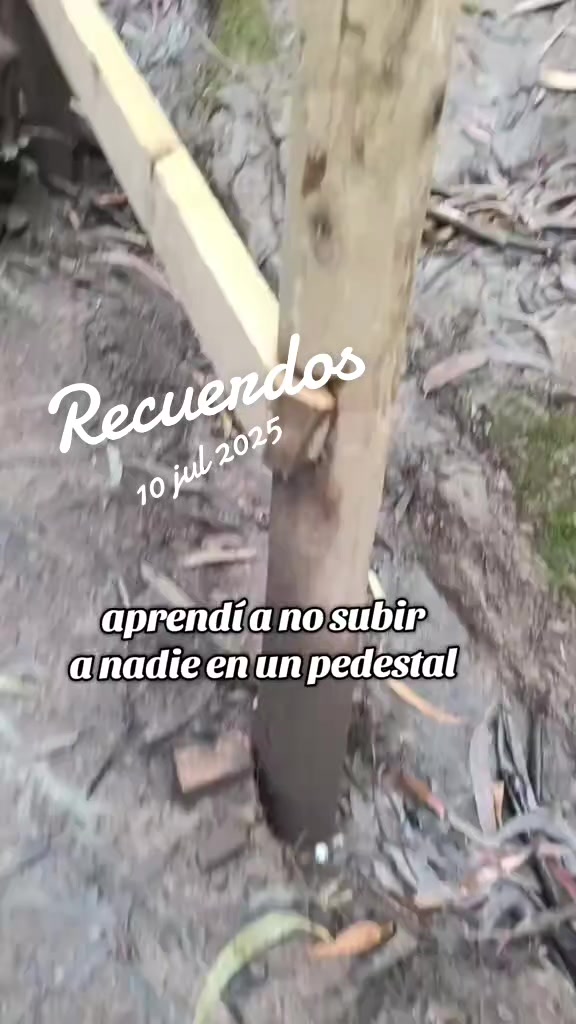 @Brenda Sofía