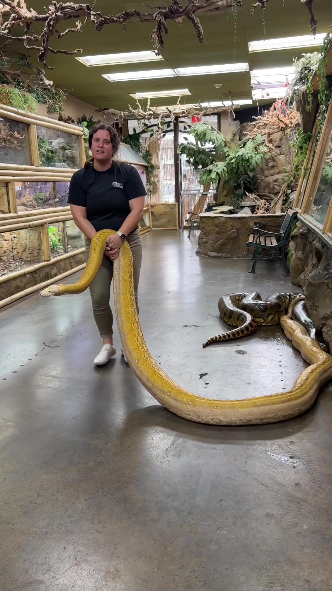 @The Reptile Zoo