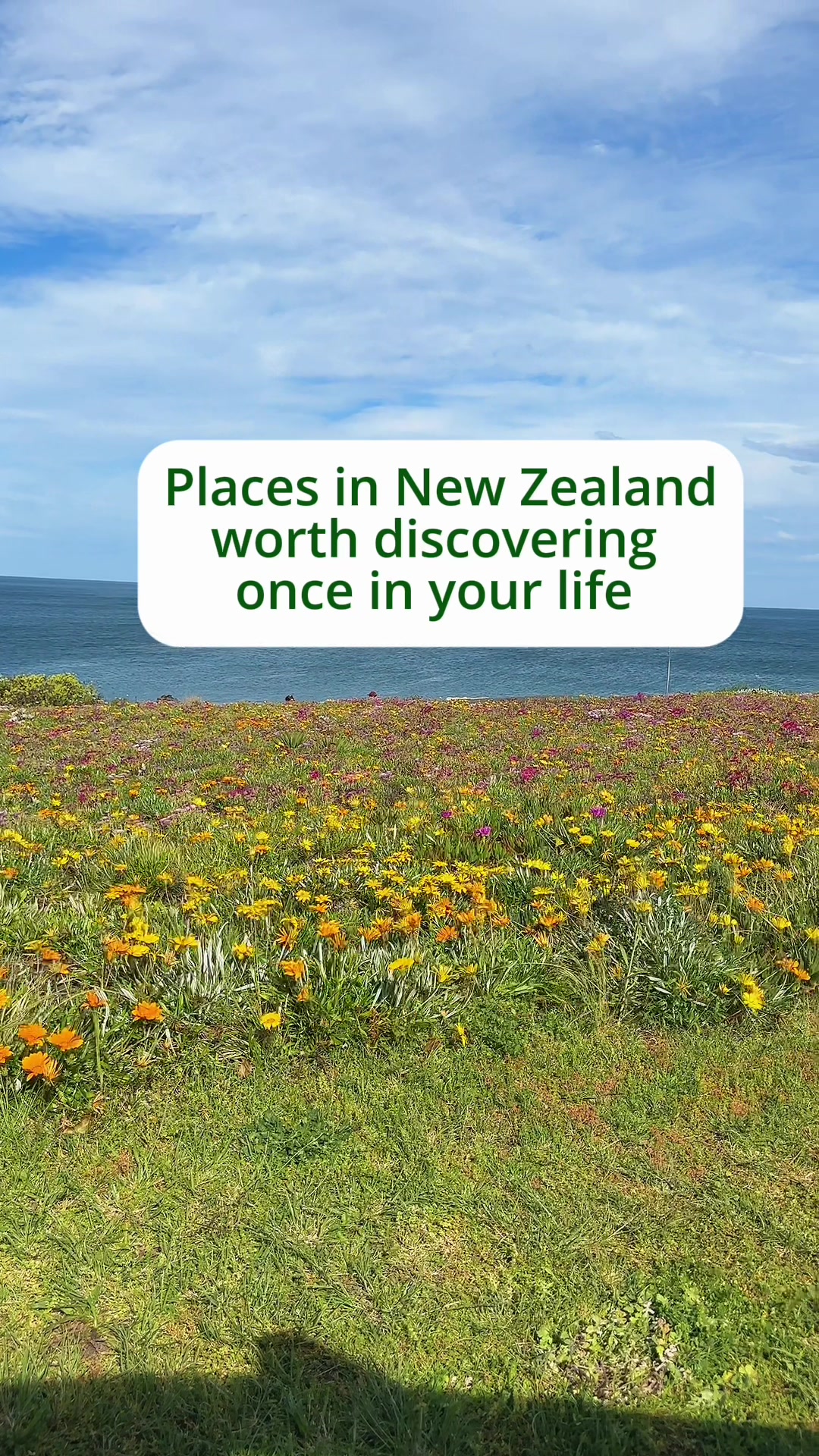 @Pinoy Traveller in New Zealand