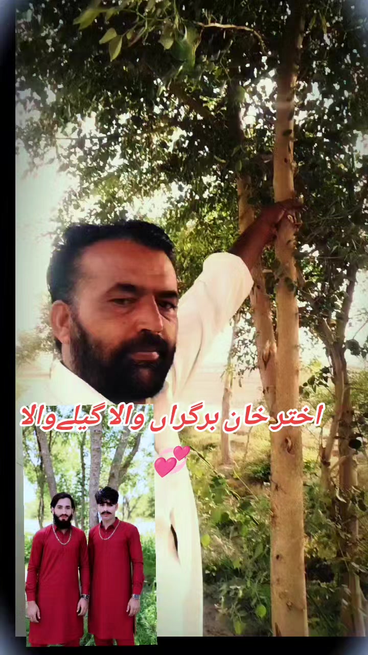 @Zameer Blouch