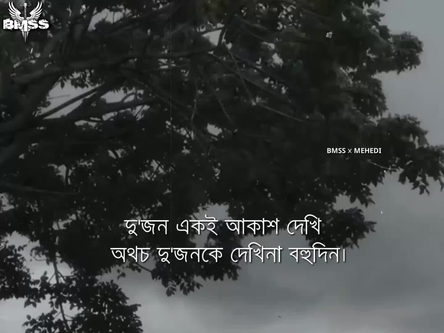 @MEHEDI HASAN💥