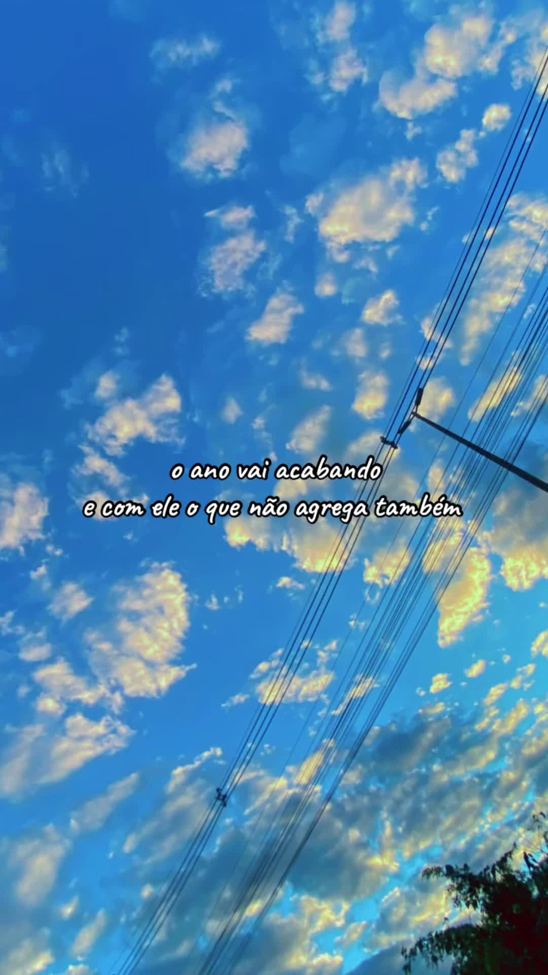 @Reinan
