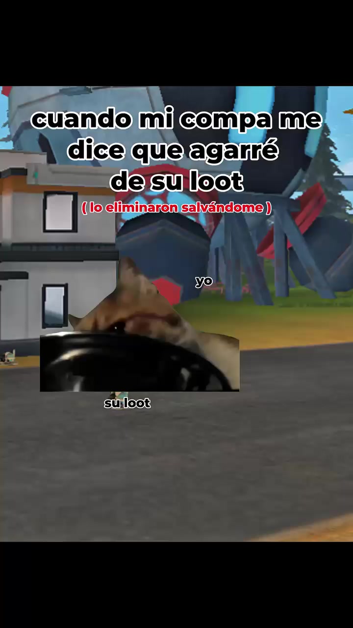 @tigrillo_mx