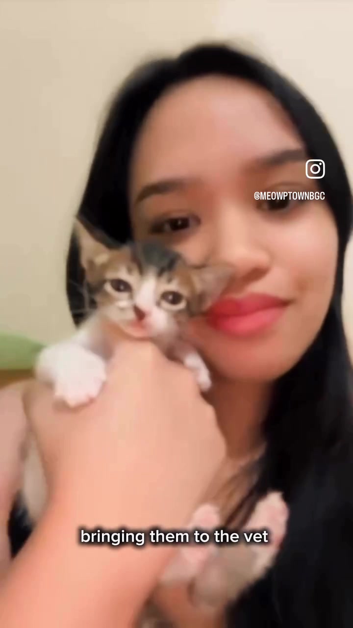 @Cats of BGC