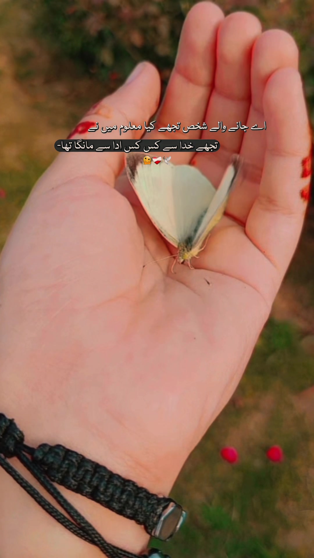 @사랑 해요 PāĞĄľ 🥺♥️