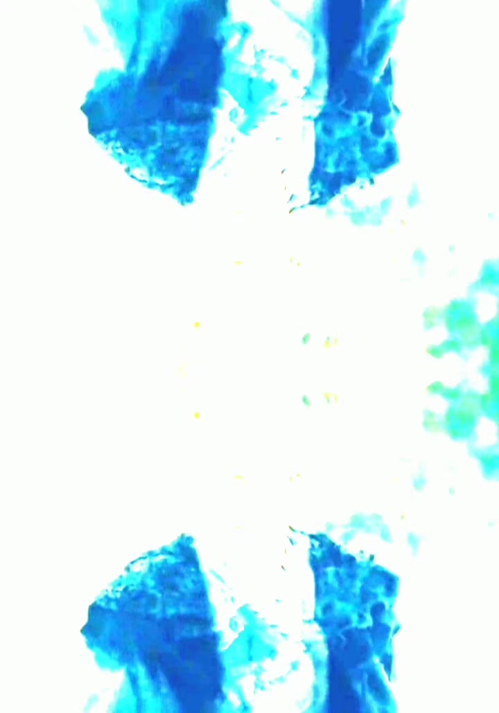 @♥︎🔹️Kayi Qabeela🔹️♥︎