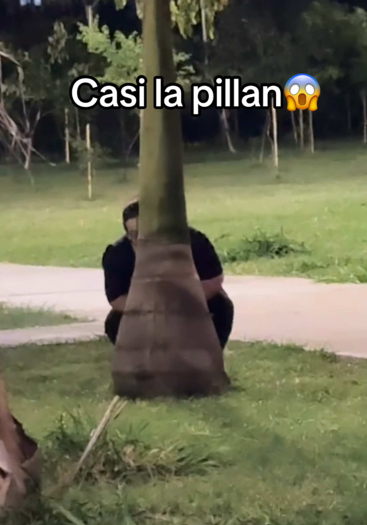 @laucris