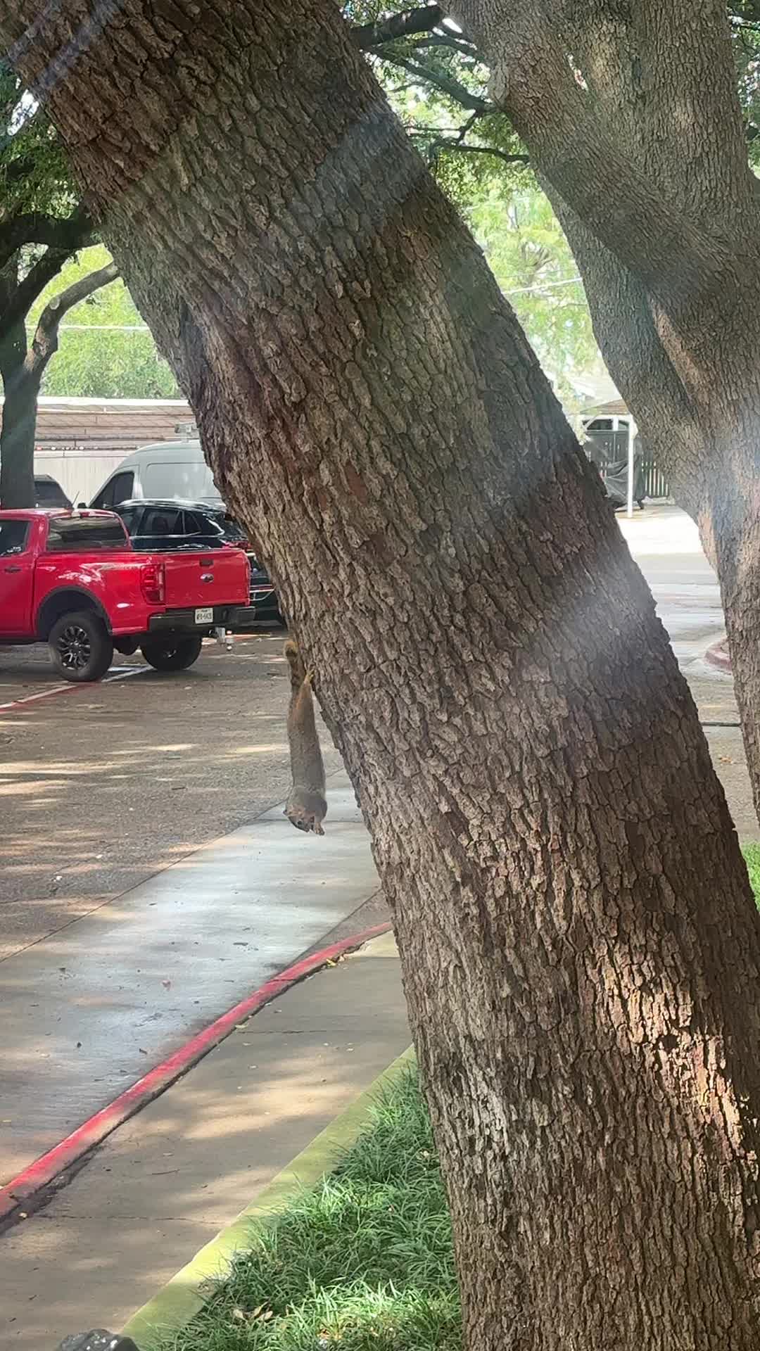 @Clairbbear