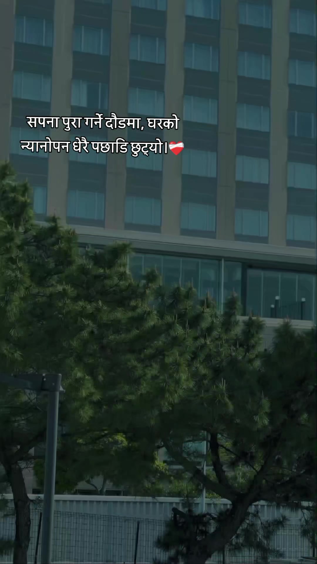 @Bibash 🇦🇷🇳🇵