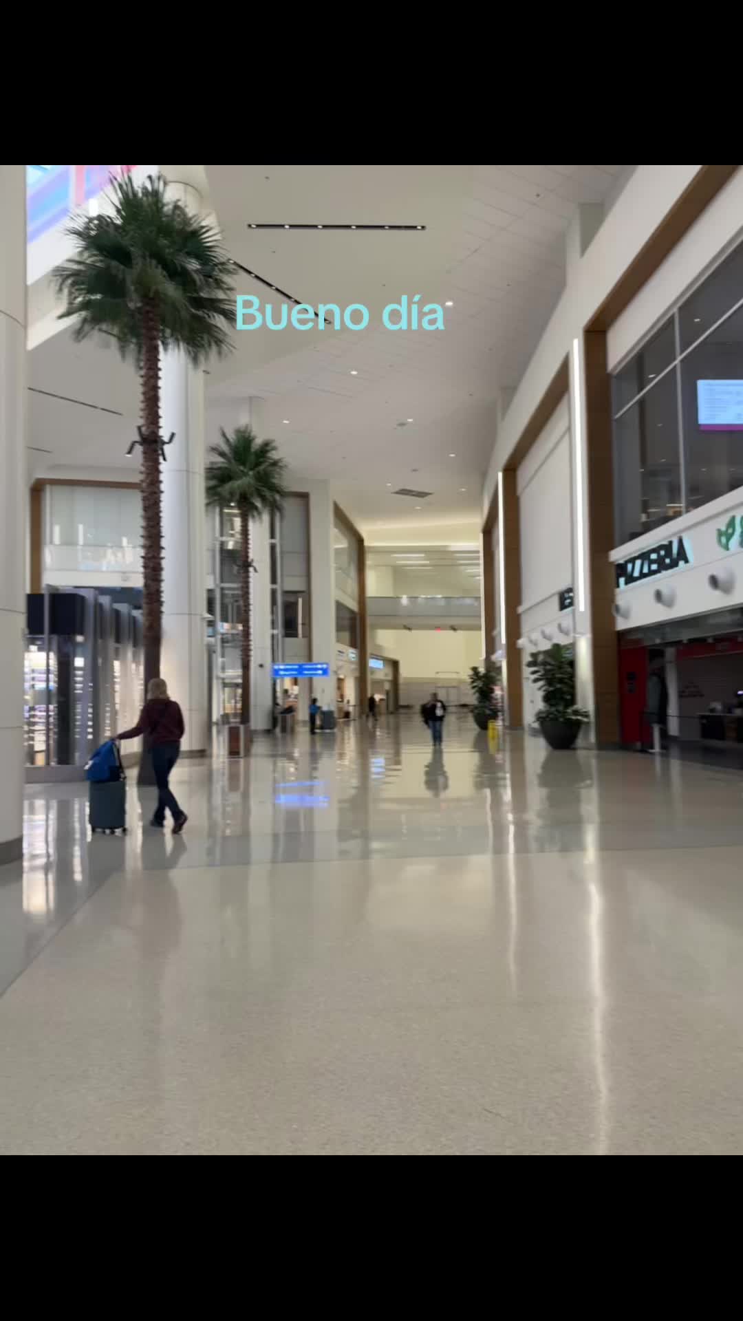 @carolicorniel6