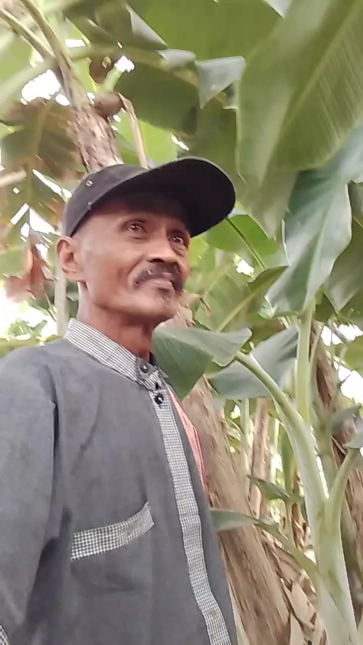 @pak dewo/Lasiman