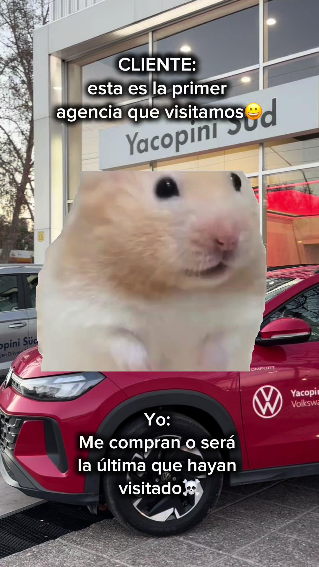 @lufloresvwoficial