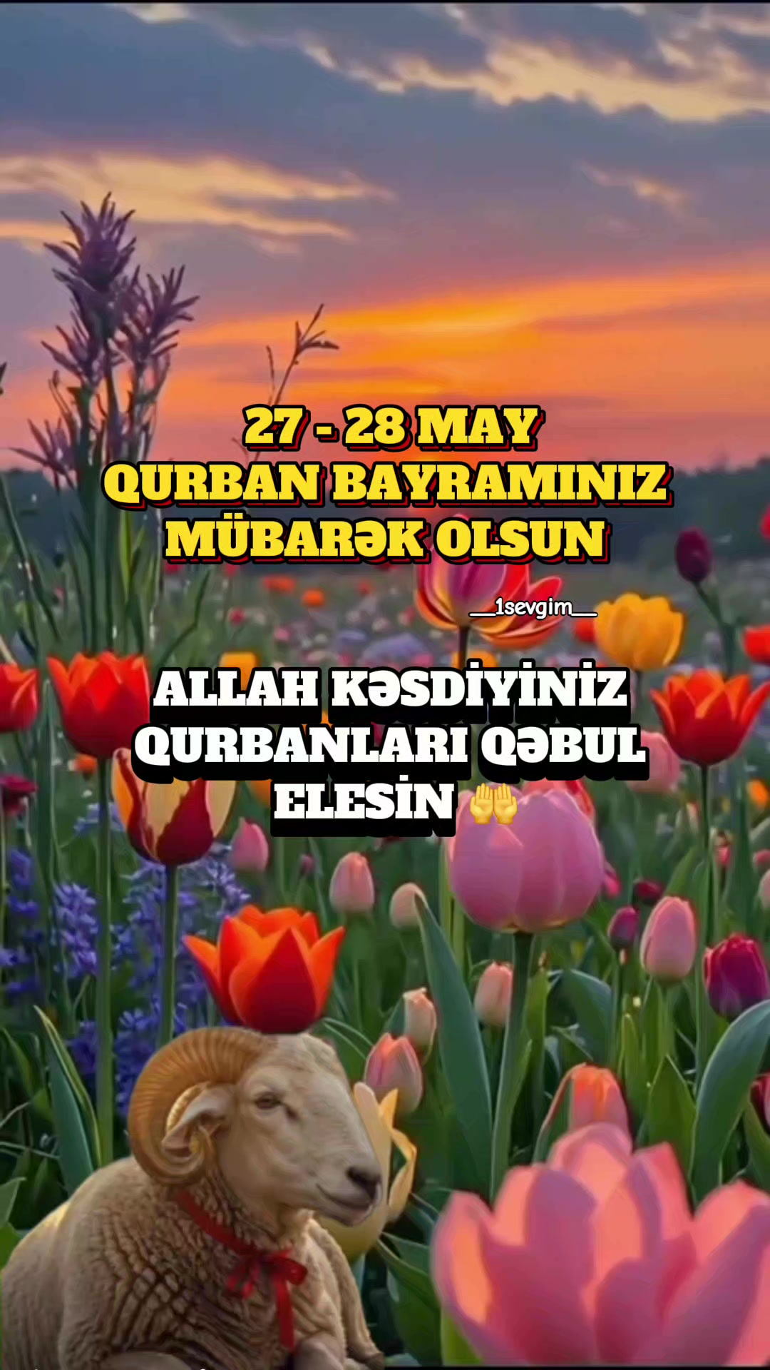 @⚜️𝙎𝙀𝙑𝙂İ𝙈⚜️