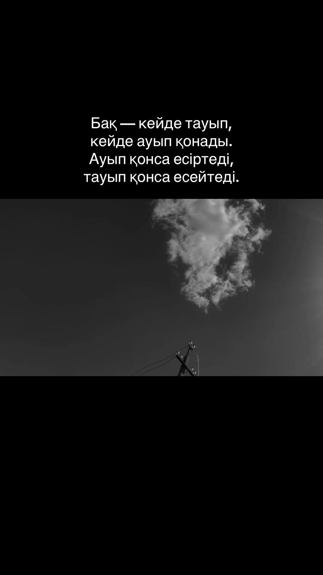 @zeroo_0011
