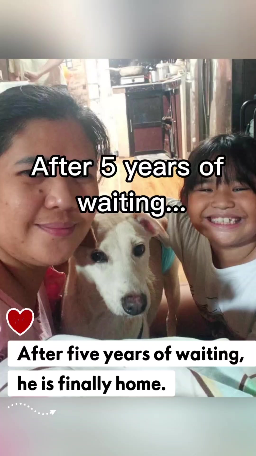 @AnimalKingdomFoundation