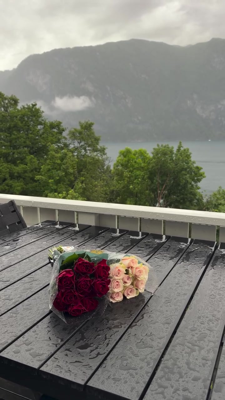 @MountainBOY🇳🇴🇨🇭🇦🇹🇵🇰
