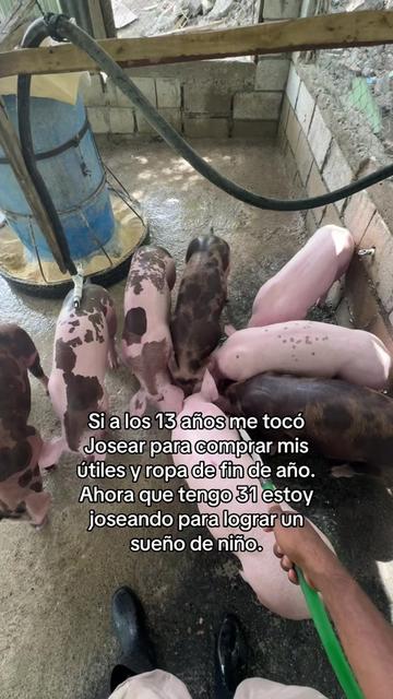 @Yei-Peña🐷🐽🇩🇴