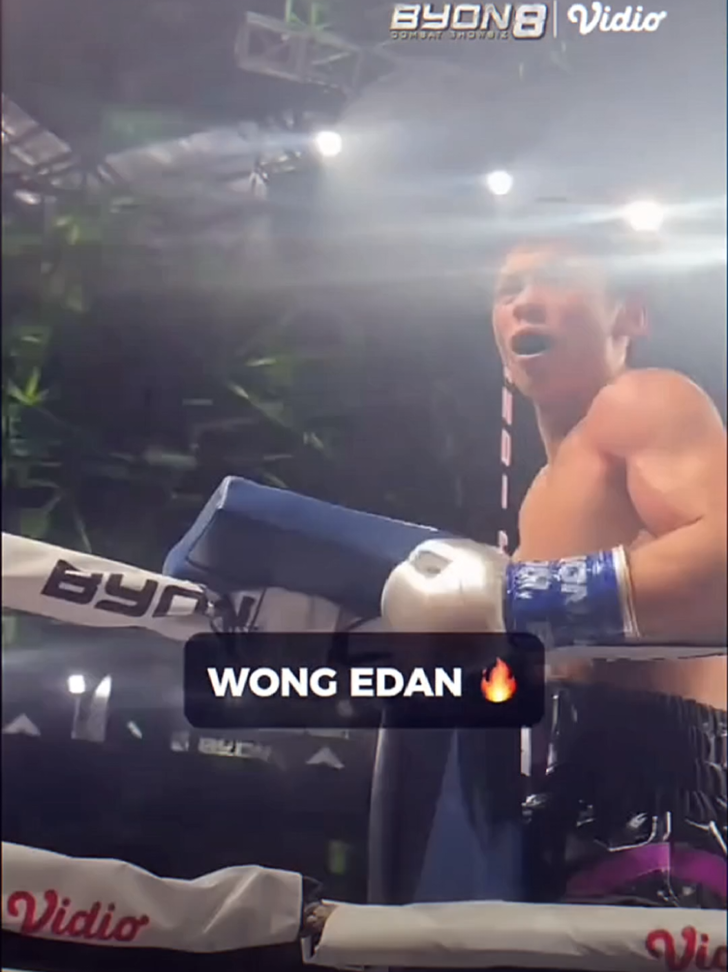 @FANS BOXING
