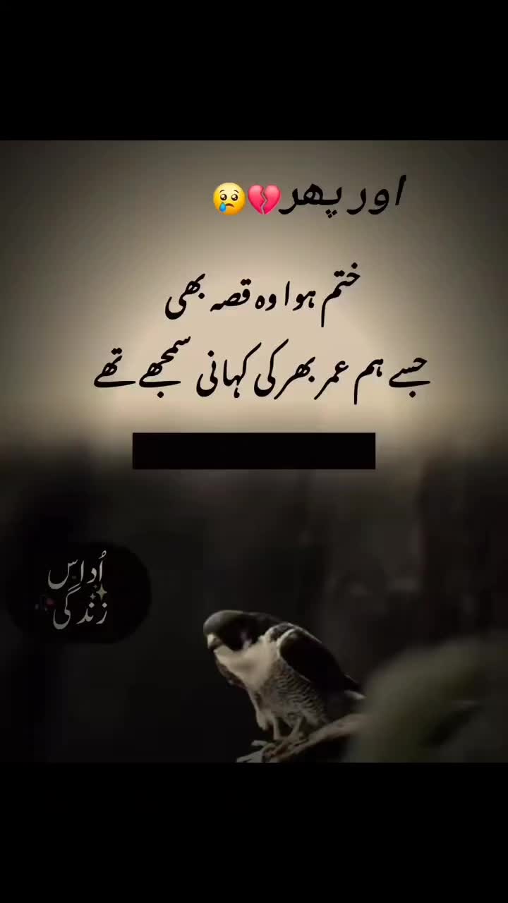 @Fazil Shaikh