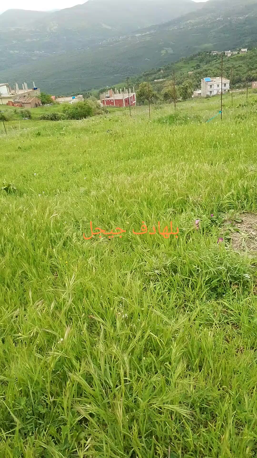 @قناة التوحيد