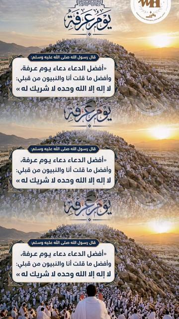 @Wafaa Hamed Official Page