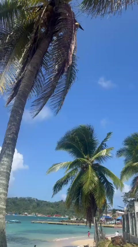 @Ash🌵🍋