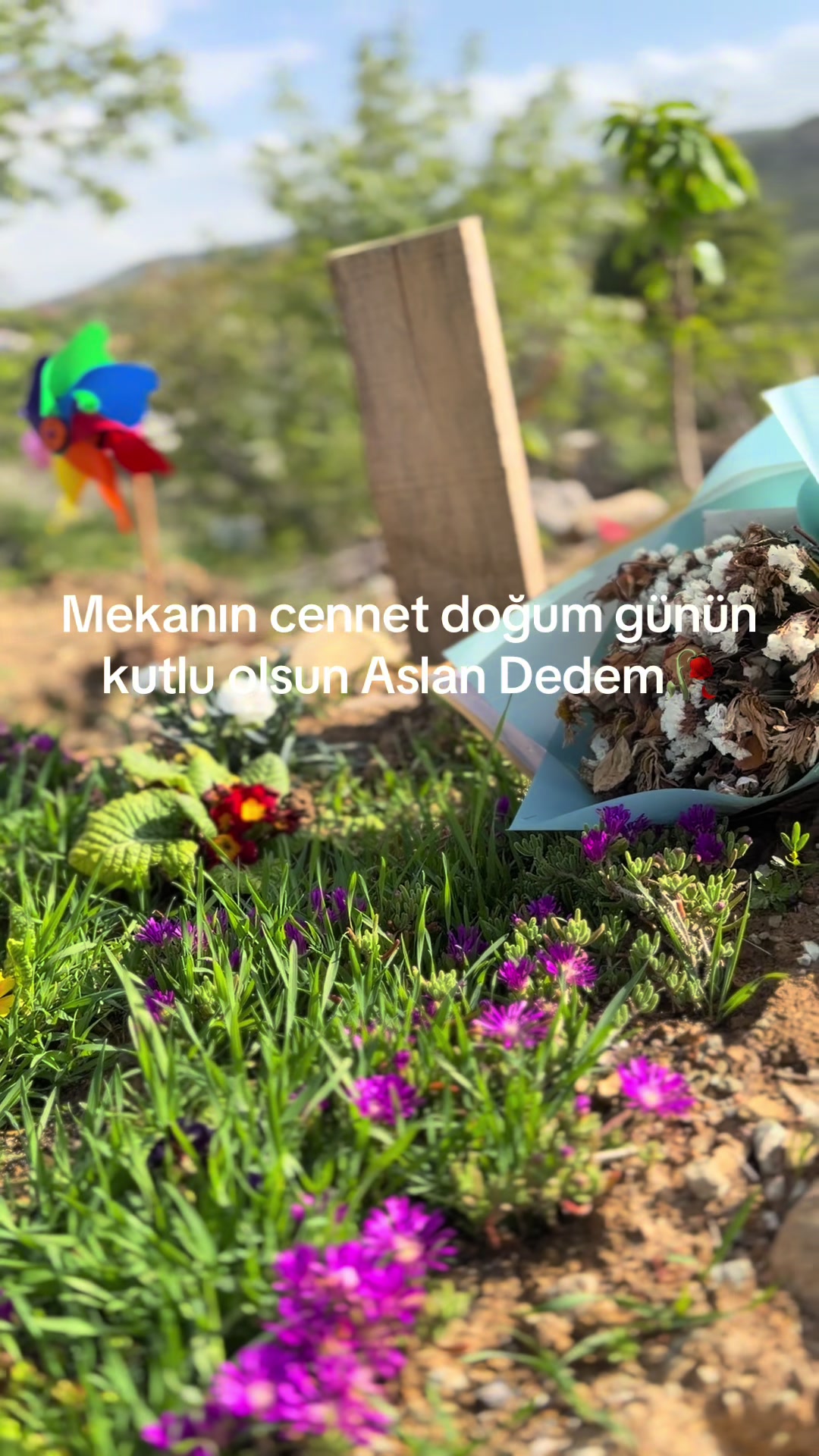 @FURKAN EFE