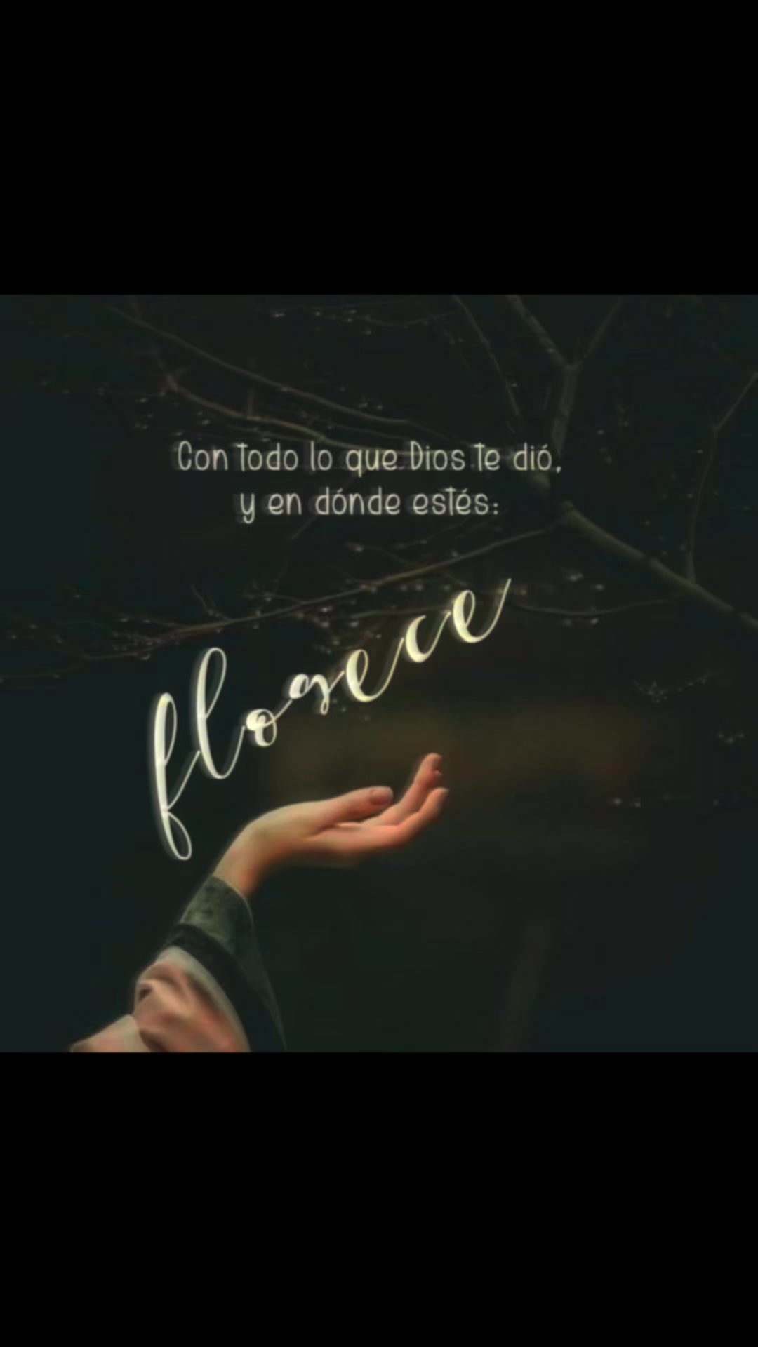 @Elisheba.oficial