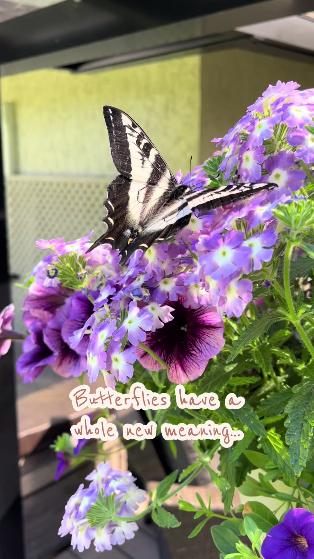 @Katie Eriksen IVF & Loss Mama