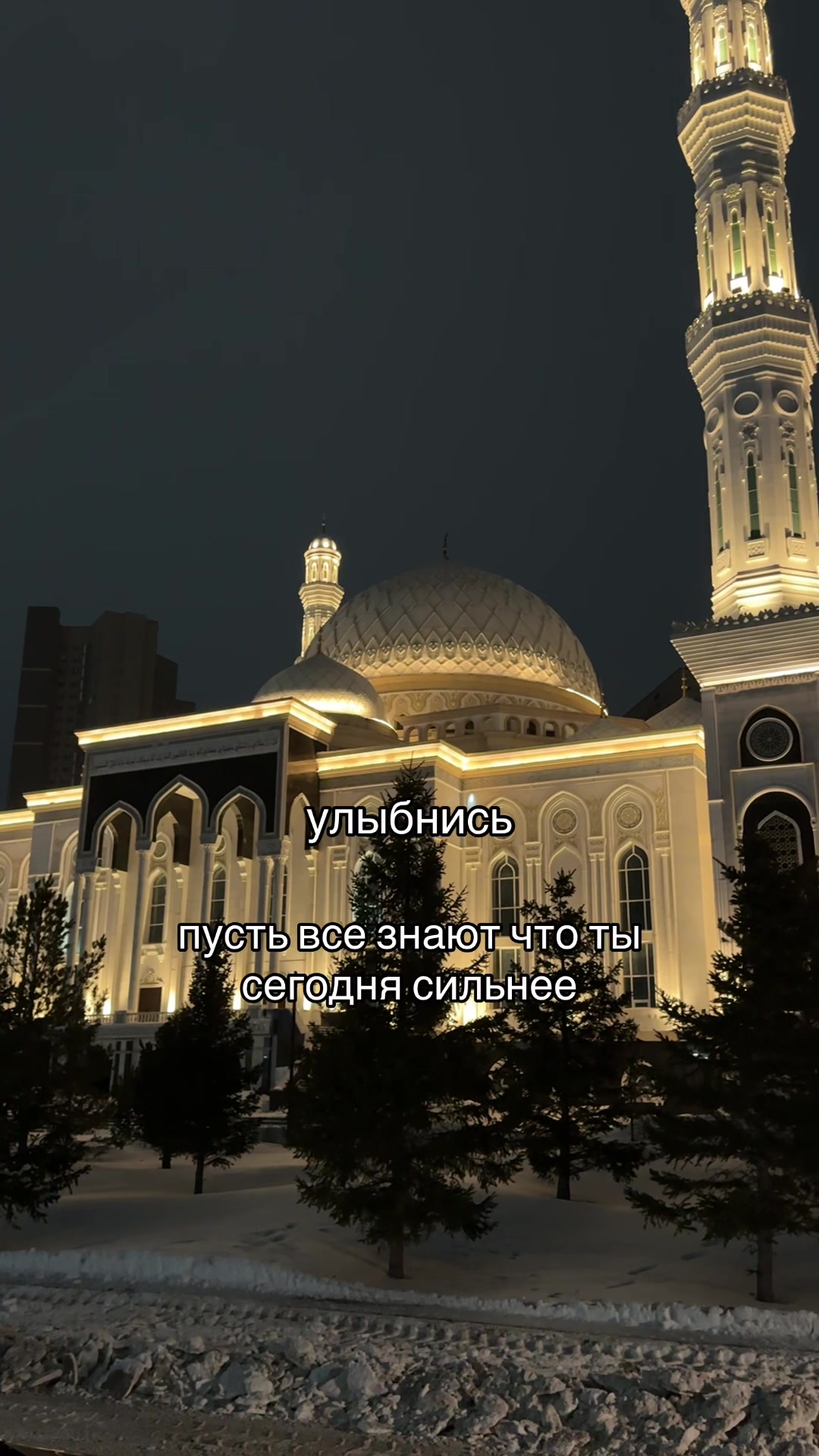 @Aqsunqar 🕊️🤍
