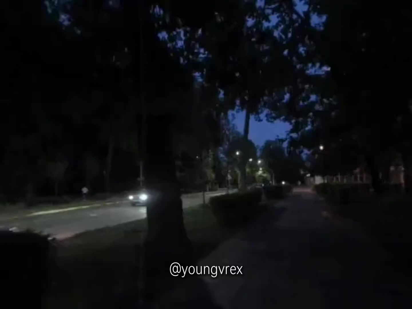 @fwelih