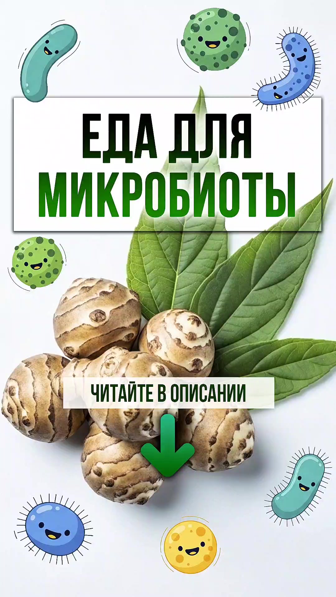 @ЗОЖнавигатор